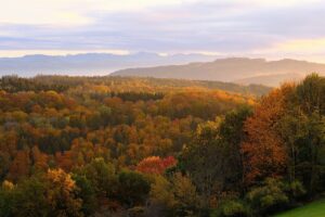 紅葉の景色