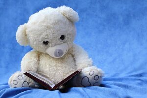 本を読む熊