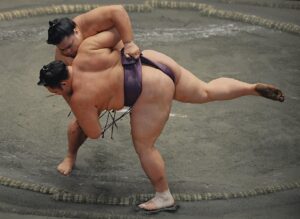 相撲取りの写真